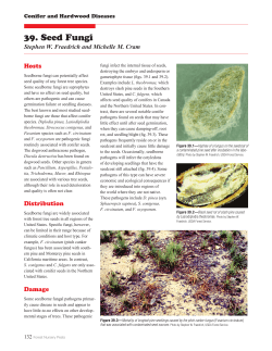 39. Seed Fungi