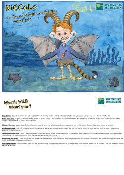 Ibex horns - Your Ibex horns can grow up to three feet long. Unlike