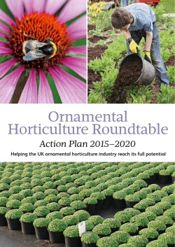 Read the Action Plan (1.9MB pdf)