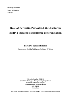 Role of Periostin/Periostin-Like-Factor in BMP-2 induced