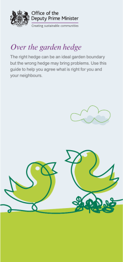 Over the garden hedge