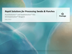 a PDF of the presentation slides