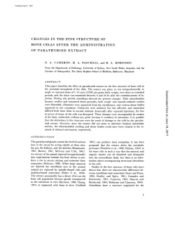 CHANGES IN THE FINE STRUCTURE OF BONE CELLS AFTER