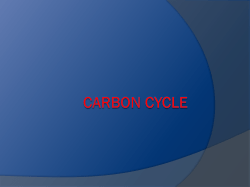 Carbon Cycle - Bethlehem College