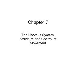 Chapter 7