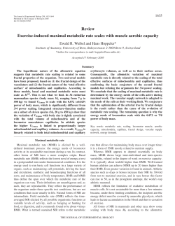 Review Exercise-induced maximal metabolic