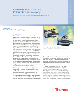 Fundamentals of Raman Polarization Microscopy