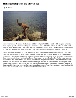 Hunting Octopus In The Libyan Sea - Exhibit-e