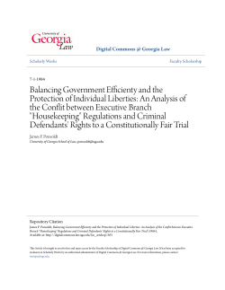 Balancing Government Efficienty and the Protection of Individual