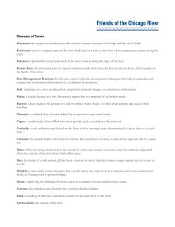 Glossary of Terms