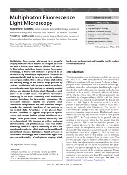 "Multiphoton Fluorescence Light Microscopy".
