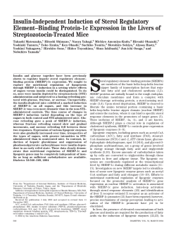 Insulin-Independent Induction of Sterol Regulatory Element&ndash;Binding