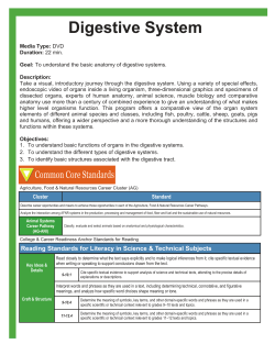 Digestive System