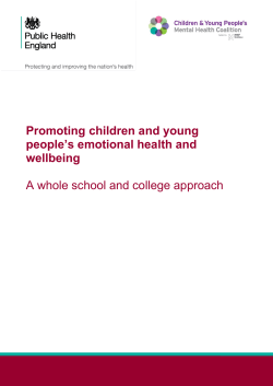 Promoting children and young people`s emotional health and