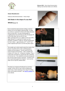 Salt Shaker in the shape of a sea shell Whistle (page 5)
