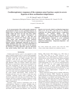 Cardiorespiratory responses of common carp to