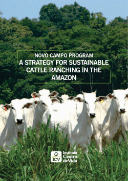a strategy for sustainable cattle ranching in the amazon