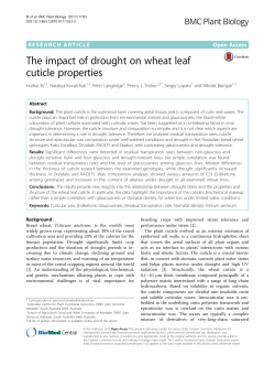 The impact of drought on wheat leaf cuticle properties