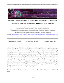 Full paper  - International Journal on Smart Sensing and