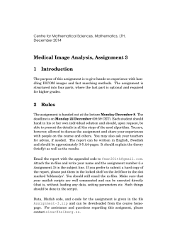 Medical Image Analysis, Assignment 3 1 Introduction 2 Rules