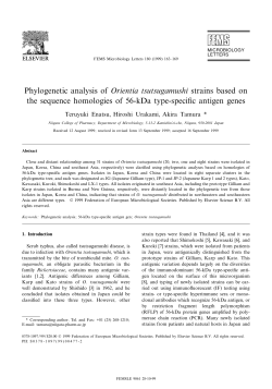 Phylogenetic analysis of Orientia tsutsugamushi strains based on