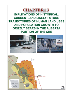 implications of historical, current, and likely future trajectories of