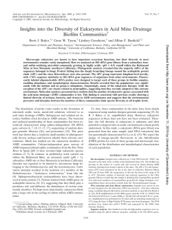 Insights into the Diversity of Eukaryotes in Acid Mine