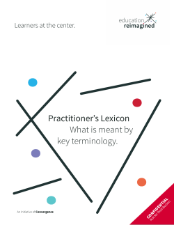 Practitioner`s Lexicon What is meant by key terminology.