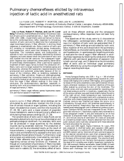 Pulmonary chemoreflexes elicited by intravenous injection of lactic