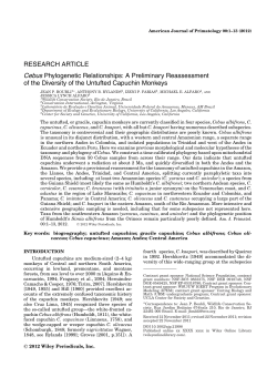 Cebus Phylogenetic Relationships: A Preliminary Reassessment of