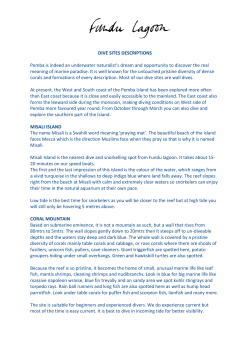 DIVE SITES DESCRIPTIONS Pemba is indeed an underwater