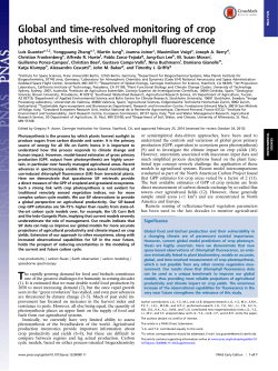 Global and time-resolved monitoring of crop photosynthesis with
