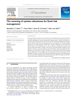 The meaning of system robustness for flood risk