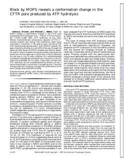 Block by MOPS reveals a conformation change in the - AJP-Cell
