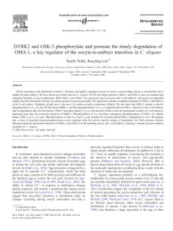 Nishi, Y. and R. Lin. 2005. DYRK2 and GSK-3