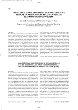 THE LACUNO-CANALICULAR SYSTEM (LCS) AND OSTEOCYTE