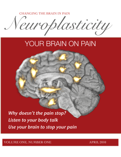 Brain Training Newsletter - Bay Area Pain Medical Associates