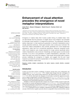 Enhancement of visual attention precedes the emergence of novel