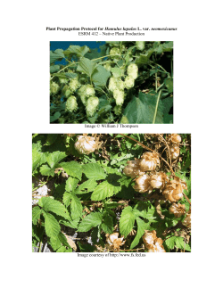 Draft Plant Propagation Protocol