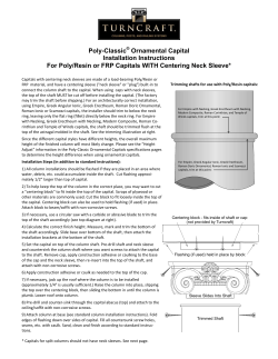PDF Ornamental Capital Installation