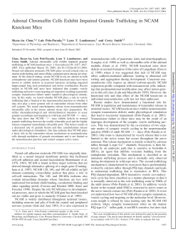 Adrenal Chromaffin Cells Exhibit Impaired Granule Trafficking in