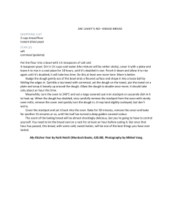 JIM LAHEY`S NO--KNEAD BREAD SHOPPING LIST 3 cups bread