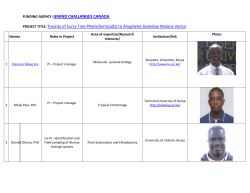 personal profiles of project team players