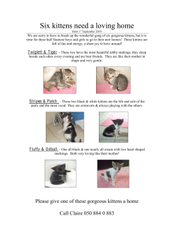 Kittens Ad final