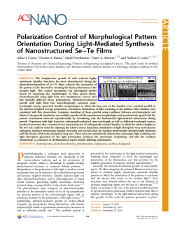 Polarization Control of Morphological Pattern Orientation During