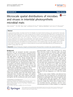 Microscale spatial distributions of microbes and viruses in