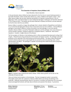 Letter - General Correspondence