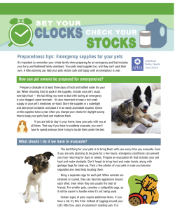 Preparedness tips: Emergency supplies for your pets