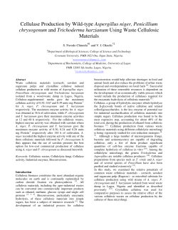 Cellulase Production by Wild-type Aspergillus niger, Penicillium
