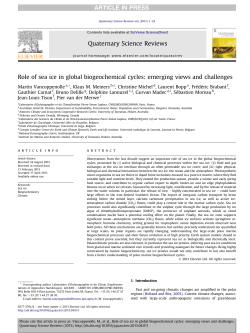 Role of sea ice in global biogeochemical cycles: emerging views